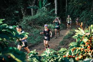 BIB: 
                            <button type="button" onclick="openModal(25810792)" class="btn btn-primary btn-sm float-right btn-popup" data-toggle="modal" data-target=".modal-high-quality">
                        <i class="fas fa-shopping-cart"></i> Add to Cart
                    </button>
                                            <button type="button" onclick="isThisMe(25810792, true)" class="btn btn-success btn-sm float-right btn-popup btn-isme hidden" data-toggle="tooltip" data-placement="bottom" title="นี่คือรูปของคุณใช่ไหม คลิกที่นี่เพื่อเอาเข้าอัลบั้ม">
                        <i class="fas fa-plus"></i> Add to album
                    </button>
                    <button type="button" onclick="isThisMe(25810792, false)" class="btn btn-warning btn-sm float-right btn-popup btn-isnotme hidden">
                        <i class="fas fa-ban"></i> Remove from album
                    </button>